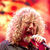 Jason Bonham vorbeste despre o reunire a Led Zeppelin fara Robert Plant Jason Bonham vorbeste despre o reunire a Led Zeppelin fara Robert Plant
