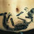10 Tatuaje anatomice interesante 10 Tatuaje anatomice interesante