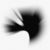 Noul album Linkin Park va debuta in topurile americane Noul album Linkin Park va debuta in topurile americane
