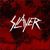 Crowd Surfing cu scaunul cu rotile la Slayer (video) Crowd Surfing cu scaunul cu rotile la Slayer (video)
