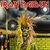 Paul Di'Anno va prezenta live primul album Iron Maiden
