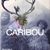 Concert Caribou la Palatul Bragadiru din Bucuresti!
