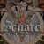 Senate se reunesc pentru un nou album