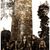 In Solitude semneaza cu Metal Blade Records In Solitude semneaza cu Metal Blade Records