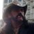 Ce actor l-ar juca cel mai bine pe Lemmy? (video) Ce actor l-ar juca cel mai bine pe Lemmy? (video)