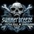 Noi nume confirmate pentru Summer Breeze 2011