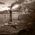 Dead Eyed Sleeper lanseaza un nou album Dead Eyed Sleeper lanseaza un nou album