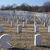 Incredibil de neinteresant: Alin Oprea a facut sex in cimitir Incredibil de neinteresant: Alin Oprea a facut sex in cimitir