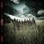 Cronica noului album Slipknot pe METALHEAD.ro! Cronica noului album Slipknot pe METALHEAD.ro!