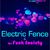 Concert Electric Fence in Wings Club Bucuresti Concert Electric Fence in Wings Club Bucuresti