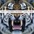 30 Seconds To Mars anunta numele noului single (audio) 30 Seconds To Mars anunta numele noului single (audio)