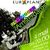 Concert unplugged The Amsterdams la Gradina Verona Bucuresti Concert unplugged The Amsterdams la Gradina Verona Bucuresti
