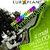 Concert unplugged The Amsterdams la Gradina Verona Bucuresti Concert unplugged The Amsterdams la Gradina Verona Bucuresti