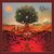Opeth dezvaluie coperta noului album Opeth dezvaluie coperta noului album