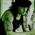 Richie Kotzen lanseaza un nou album Richie Kotzen lanseaza un nou album