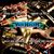 Van Halen au incheiat mixajul pentru noul album Van Halen au incheiat mixajul pentru noul album