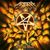 Anthrax discuta despre noul album (video) Anthrax discuta despre noul album (video)