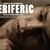Filmul romanesc Filmul romanesc