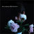 Brett Anderson a cantat noul single Brittle Heart la Jools Holland (video) Brett Anderson a cantat noul single Brittle Heart la Jools Holland (video)