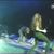 Cum arata un concert de metal in Romania anului 1994? (video) Cum arata un concert de metal in Romania anului 1994? (video)