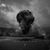 Trivium au cantat o piesa Metallica (video) Trivium au cantat o piesa Metallica (video)