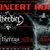 Concert Netherbird si Ethernus in Satu Mare Concert Netherbird si Ethernus in Satu Mare