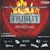 Concert Tribut in Ageless Club din Bucuresti Concert Tribut in Ageless Club din Bucuresti