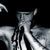 Show extrem Shining la Brasov Show extrem Shining la Brasov