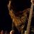 Turneu european Secrets Of The Moon si Borknagar Turneu european Secrets Of The Moon si Borknagar