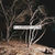 Narrows - Gypsy Kids (New Video 2009) Narrows - Gypsy Kids (New Video 2009)