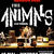 Concert THE ANIMALS la Jukebox Venue Concert THE ANIMALS la Jukebox Venue