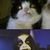 Cele mai amuzante imagini (memeuri) black metal