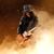 Zakk Wylde a cantat alaturi de Slash (video) Zakk Wylde a cantat alaturi de Slash (video)