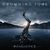Asculta integral noul album Drowning Pool Asculta integral noul album Drowning Pool