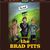 Concert The Brad Pits la Papa la Soni din Vama Veche Concert The Brad Pits la Papa la Soni din Vama Veche