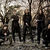 Asculta intregul album KORN 'The Serenity Of Suffering' Asculta intregul album KORN 'The Serenity Of Suffering'