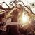 Zakk Wylde a lansat videoclipul piesei 'Lost Prayer' Zakk Wylde a lansat videoclipul piesei 'Lost Prayer'
