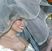 Poze Thalia Thalia