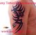 Galerie foto Roxytattoo tatuaj tribale Salon tatuaje Bucuresti roxy tattoo www.roxy-tattoo.com