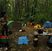 One Love Festival @ Comana Natural Park Poze One Love Festival @ Parcul Comana
