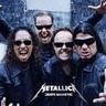 Poze Poze Metallica - metallica