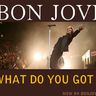 Poze Poze Bon Jovi - What Do You Got?