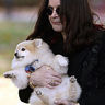 Poze Poze Ozzy Osbourne - Ozzy