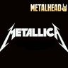 Poze Poze Metallica - Poza Metallica
