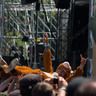 Poze Poze Hellfest - Poze de la Hellfest