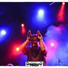 Poze Poze Implant Pentru Refuz (Ro) - Poze Posada Rock 2015